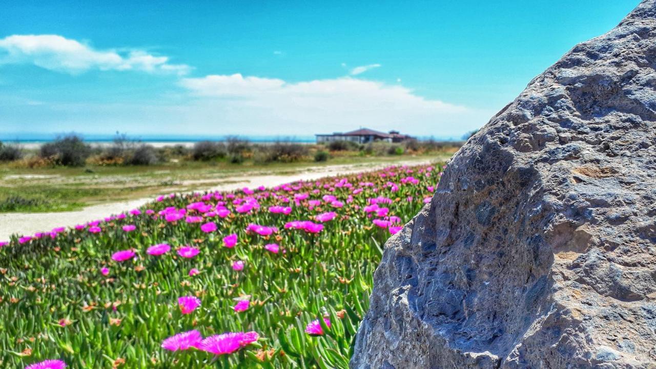 Apartamento Atico Pinar de Garrucha con vistas al mar-Gran Terraza Exterior foto